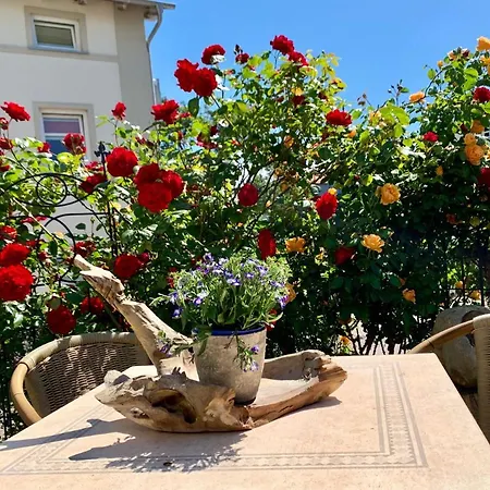 Villa-rosengarten-ferienwohnung-baumhaus-mit-seeblick *
