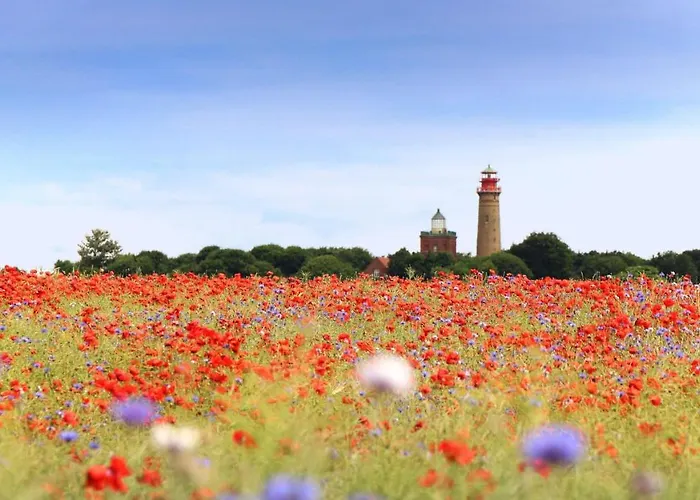 Lejlighed Villa-rosengarten-ferienwohnung-baumhaus-mit-seeblick *