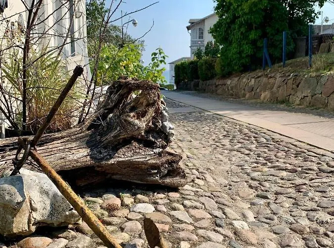 Villa-rosengarten-ferienwohnung-baumhaus-mit-seeblick Sassnitz